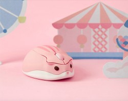 AKKO HAMSTER TARO – CHUỘT KHÔNG DÂY HAMSTER