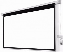 Màn chiếu điện Dalite P225ES 225 inch
